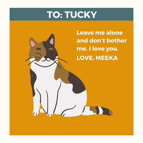 Brindle Market Valentine, To Tucky from Meeka