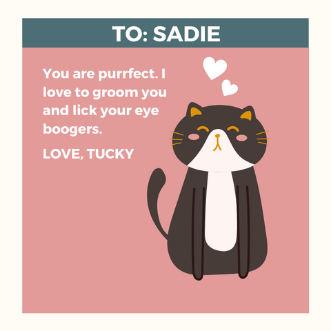 Brindle Market Valentine To Sadie from Tucky