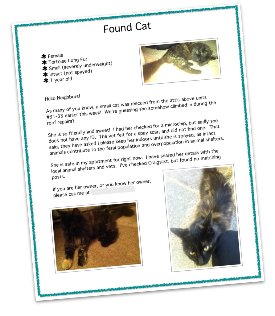 Meeka Found Cat Poster