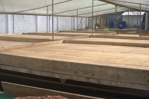 Cacao drying beds with wooden base
