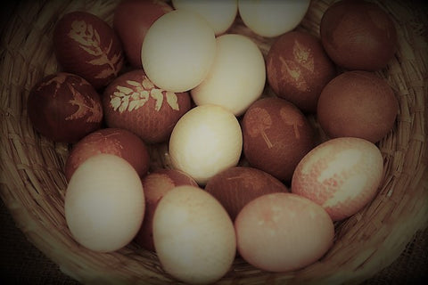 eggs