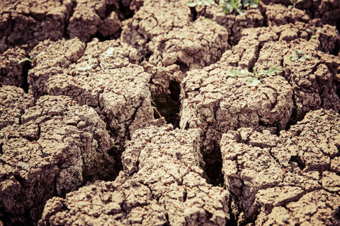 Depleted soil