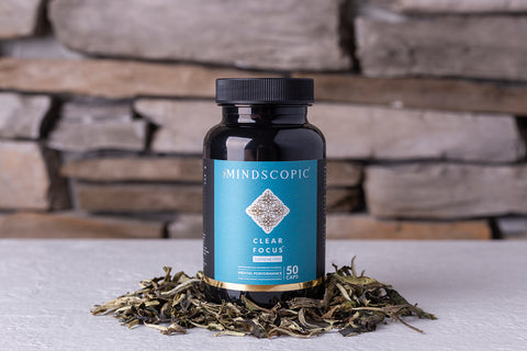 Clear Focus Caffeine Free nootropic from Mindscopic
