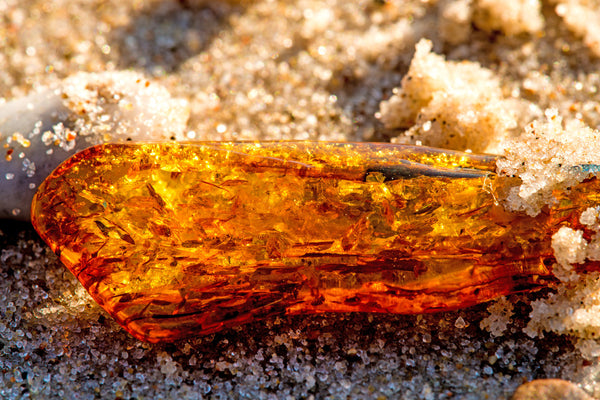 what does baltic amber do