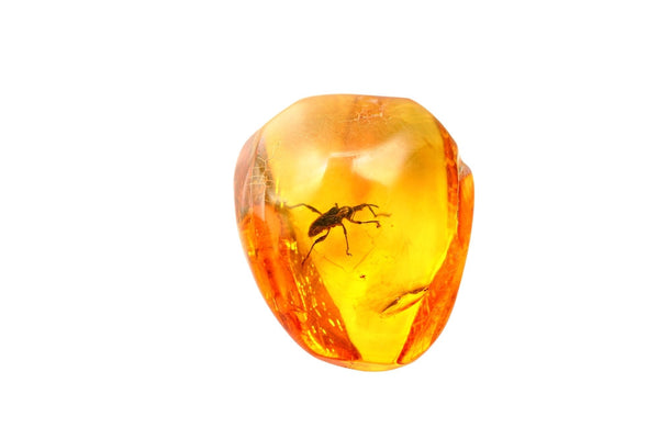 amber necklaces for headaches