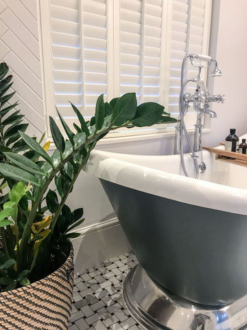 classic bathtub plant and white shutters