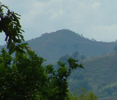 Mountain in Colombian