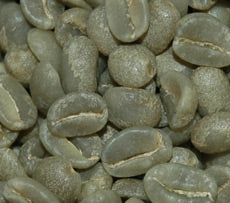 Rwanda Dekundakawa Musasa Green Beans