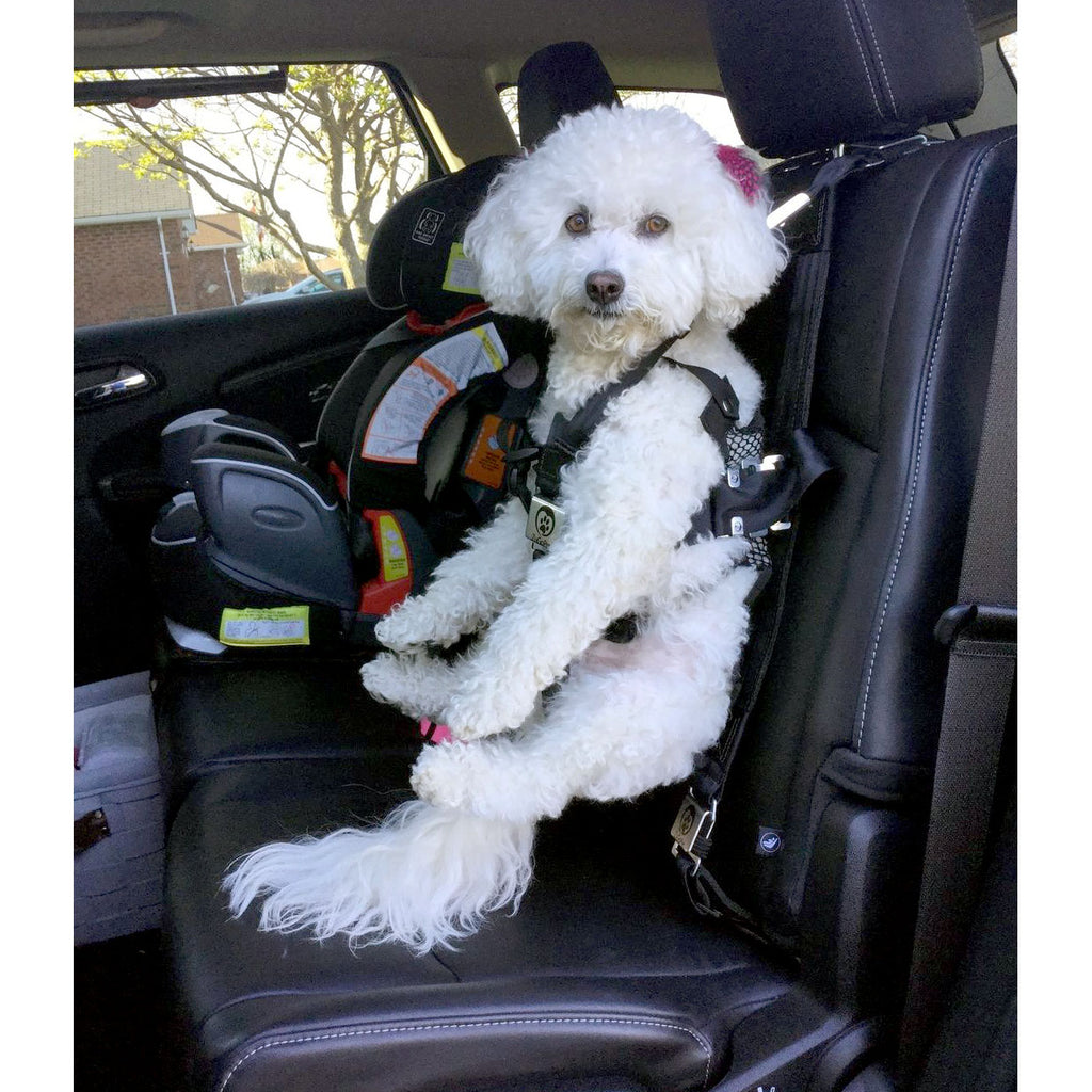 easy dog seat belt