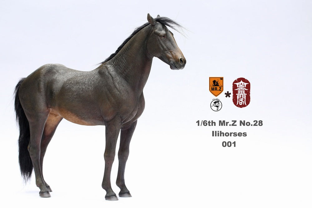 mr z model horse