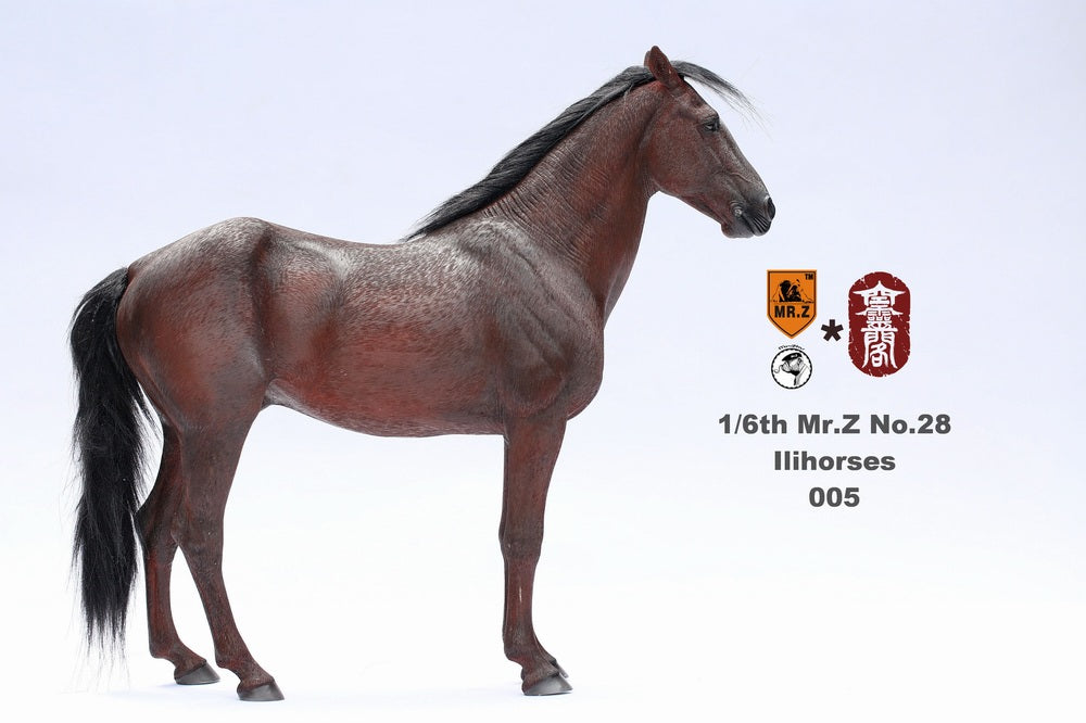 mr z model horse