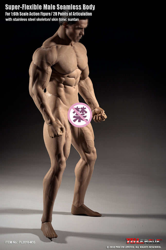 1 6 scale seamless male body