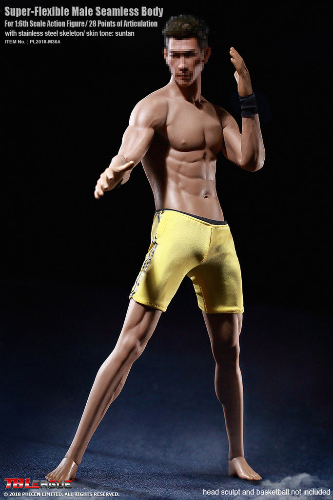 1 6 scale seamless male body