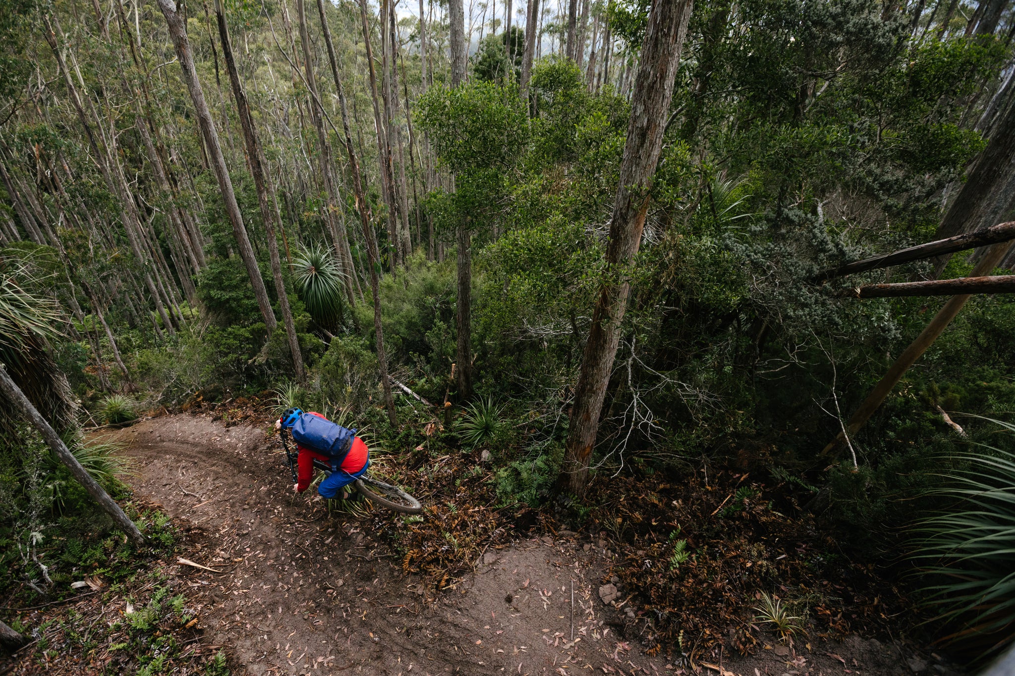 PNW Components Squad Member Mark Matthews Rides Tasmania MTB