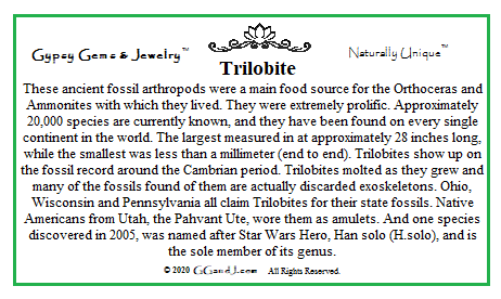 Trilobite fun facts GGandJ.com