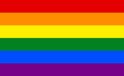 Gay LGBT pride flag