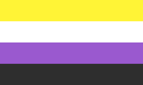 Non binary gender flag