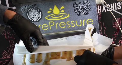 Cannabis Extraction Processing Solventless Commercial Scale Rosin