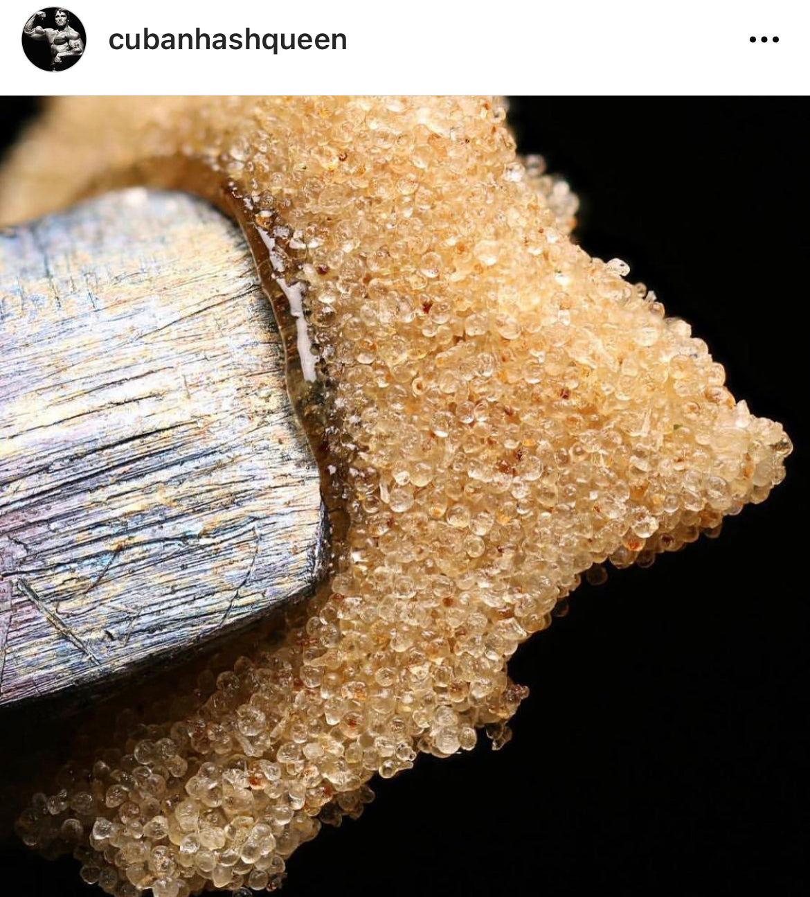 Dry Sift Macro Shot by Cuban Hash Queen