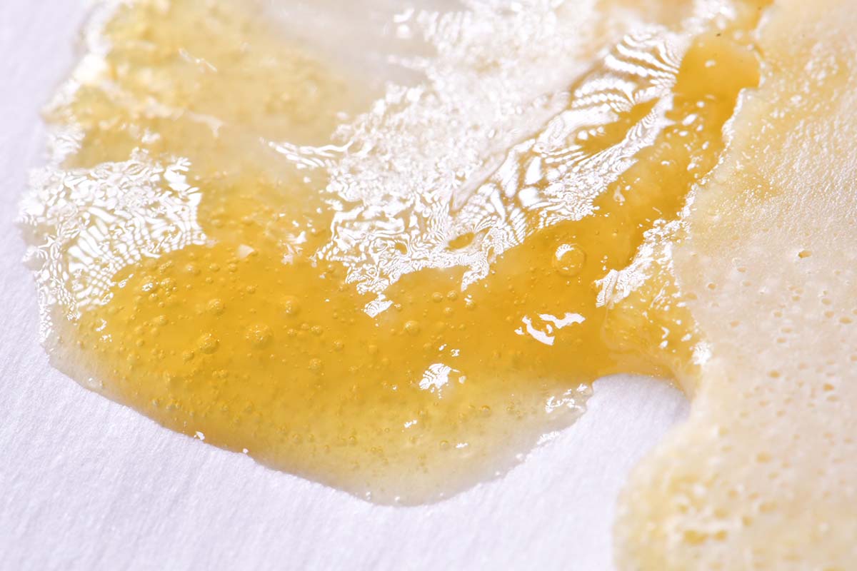 Hot Pressed Fresh Rosin On Parchment 