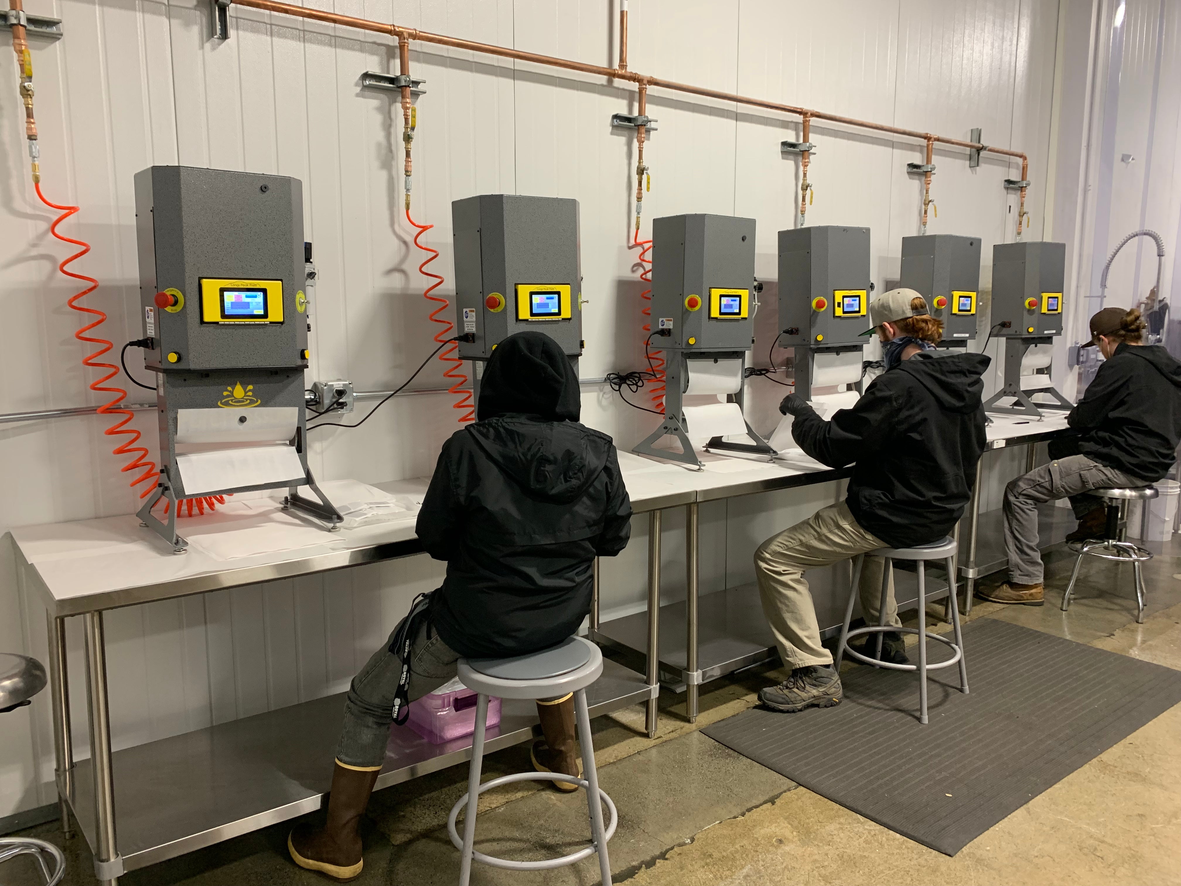 Longs Peak Pneumatic Rosin Presses in commercial setting