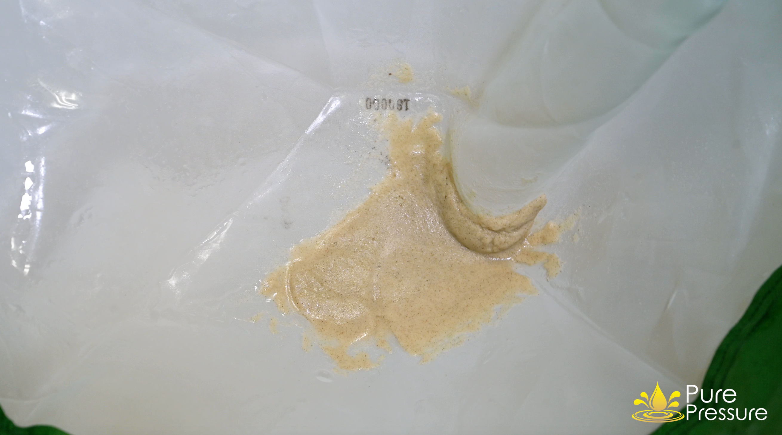 Kush Masters Chem Dawg Trichomes After Being Washed and Rinsed PurePressure Blog