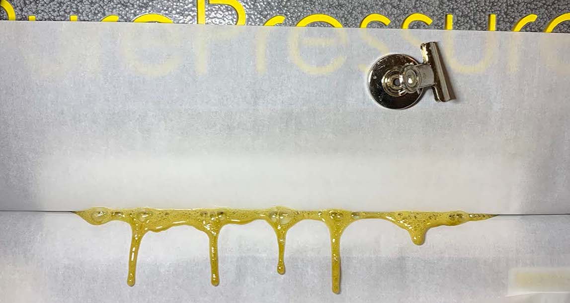 Second Pressed Rosin Chips Dripping From Commercial Rosin Press