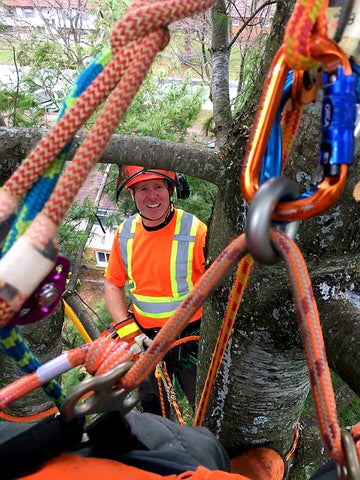 Scott Morphy of Stittsville Tree Service, Ontario in the trees