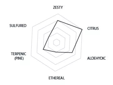 Ginger Bread Flavour Profile