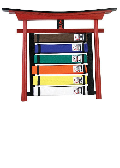 Deluxe Removable Hanging Wall Mat System 623460 - Gagné Sports