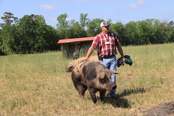 Joyce Farms Gloucester Old Spot Hogs 