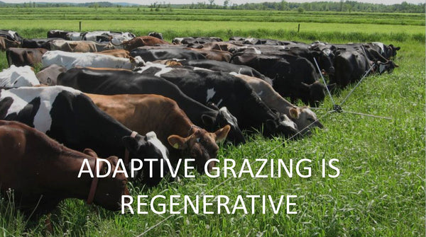 Adaptive Grazing is Regenerative