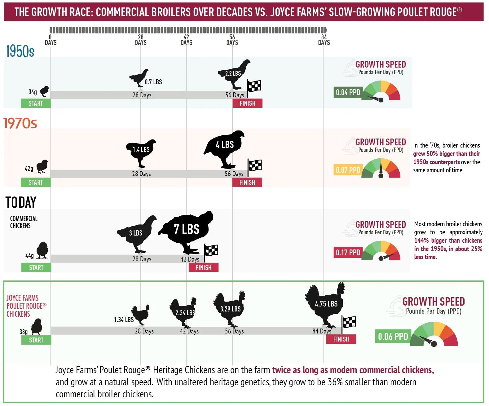 Slow Growth Rate Comparison of Poulet Rouge® Chickens