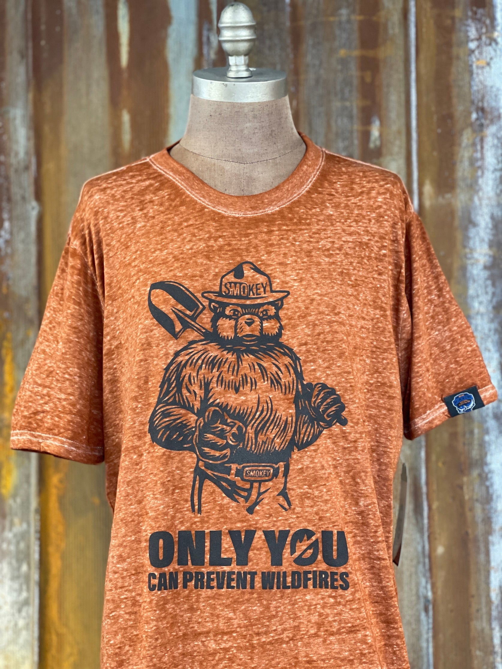 Image of Smokey Tee- LUXE Rust