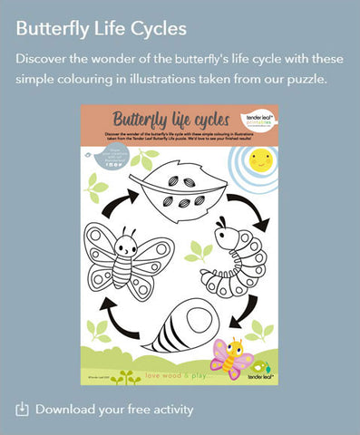 Butterfly Colouring