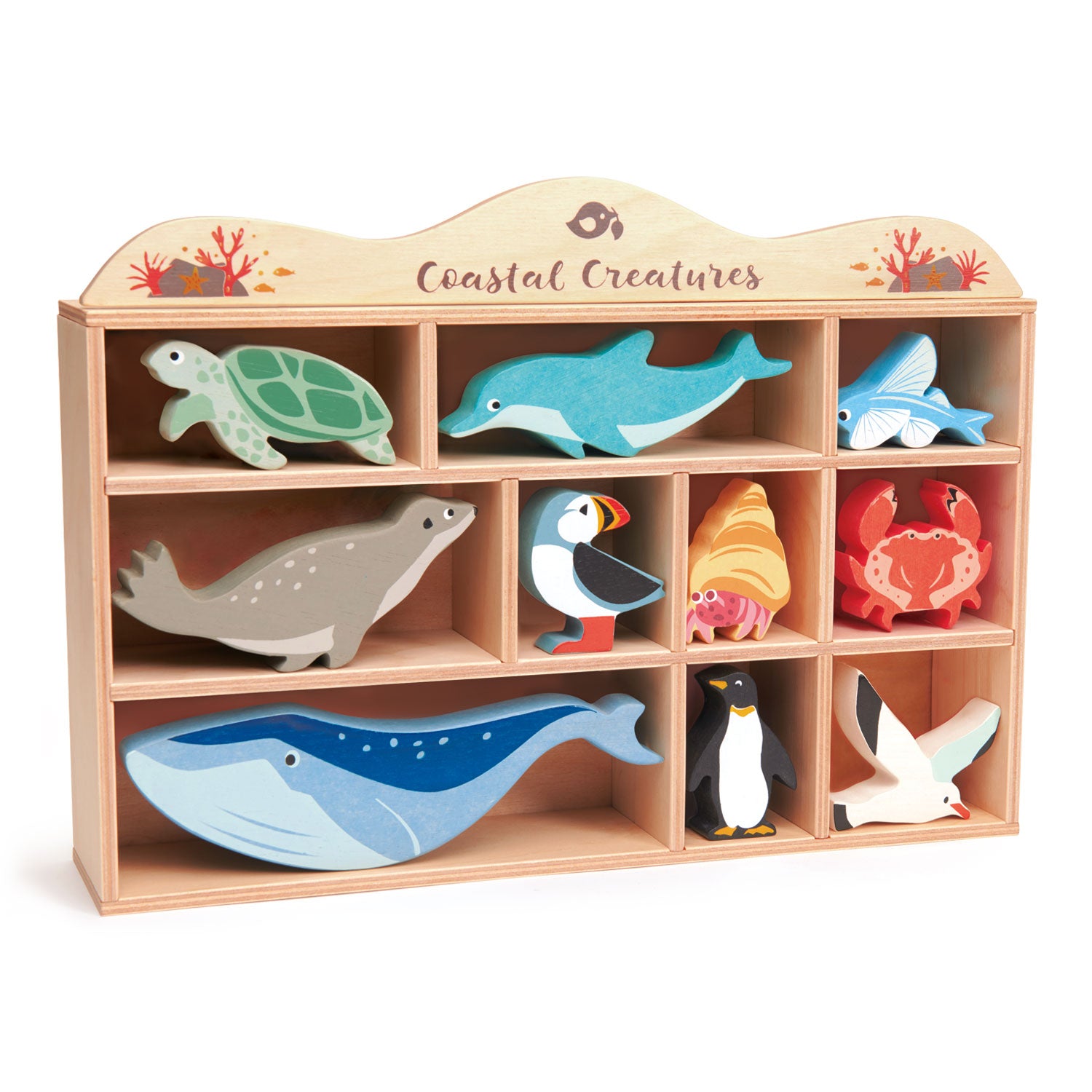 <p>1 of each animal in a display shelf. (Sea Turtle, Dolphin, Flying Fish, Seal, Puffin, Hermit Crab, Crab, Whale, Penguin, Seagull)</p>
<p>Age range: 3 Years And Older  </p>
<p>Product size: 14.25 x 2.95 x 10.16”  </p>
<p> Weight: 2.71 lbs</p>
<p><a href="https://www.dropbox.com/s/qwg2wmrf9ma5db6/TL8479%20Coastal%20Animals%20Printable.pdf?dl=0" title="Coastal Animals Printable"><img src="https://cdn.shopify.com/s/files/1/1083/1780/files/TL8479-Coastal-Animals-Printable-dl_480x480.jpg?v=1597917897" alt="Coastal Animals Printable"></a></p>
