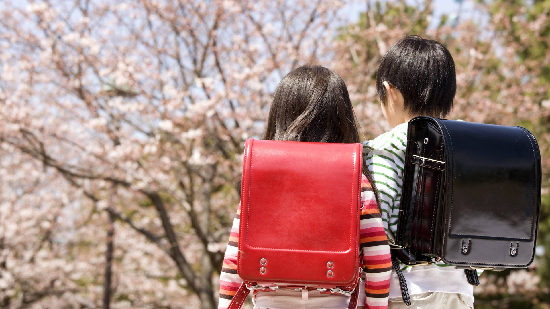 Everything to Know About Japan's Children's Day Bokksu