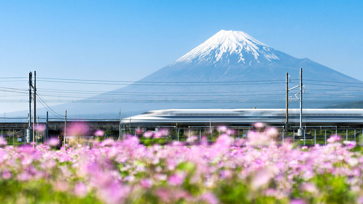 What to Do in Japan in September | Bokksu