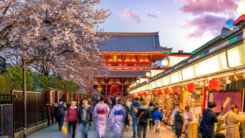 Tourists at shopping street in Asakusa connect to Sensoji Temple with sakura trees in spring, Tokyo Japan