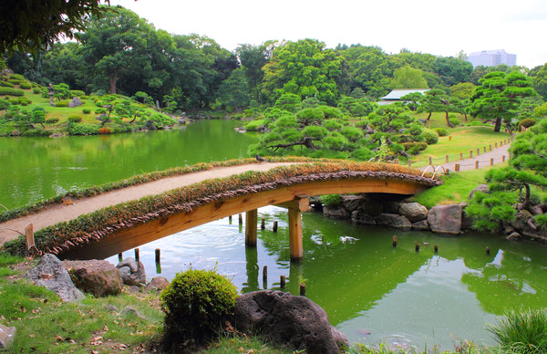 Japanese Traditional Garden