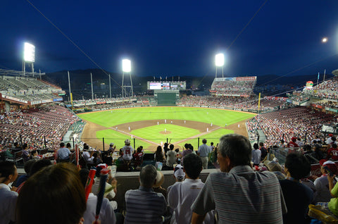 professional leagues Japan baseball