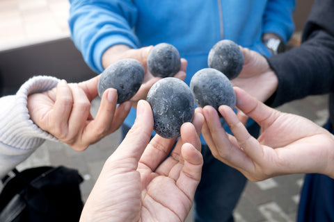 Tourists showing the boiled black eggs (Kuro-Tamago) from the Owakudani Valley, Hakone National Park,