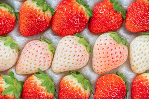 White and Red Japanese strawberries Ichigo