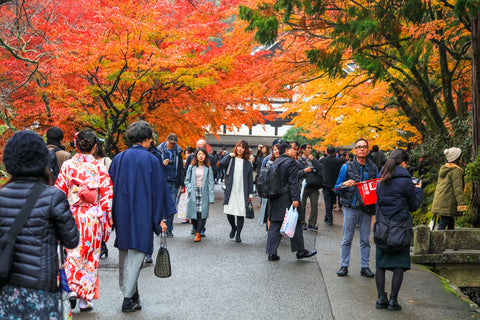 spectacular autumn colors