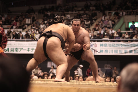 sumo wrestlers in a tournament, many foreigner athletes