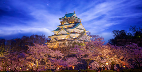 Himeji Castle in Osaka with sakura blossoms, Japan at night