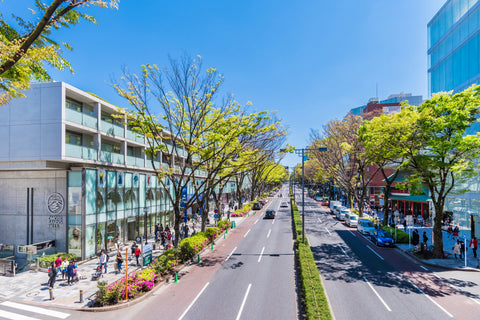 Scenery of "Omotesando" lined up by high-end shops.