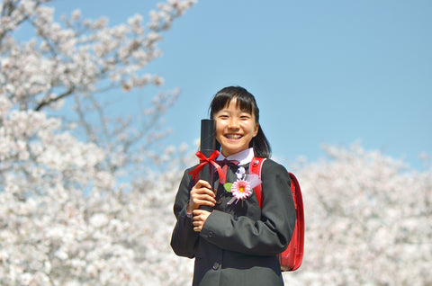 Japanese elementary school student(Under cherry tree,graduation)