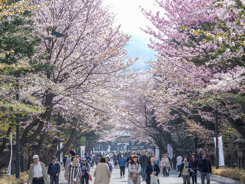 Hokkaido shrine is a shinto shrine located in Sapporo. sited in Maruyama park,