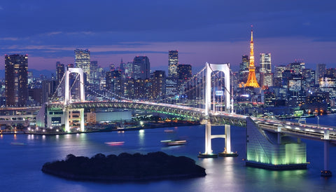 Rainbow Bridge and Tokyo Bay with Tokyo Tower in the background